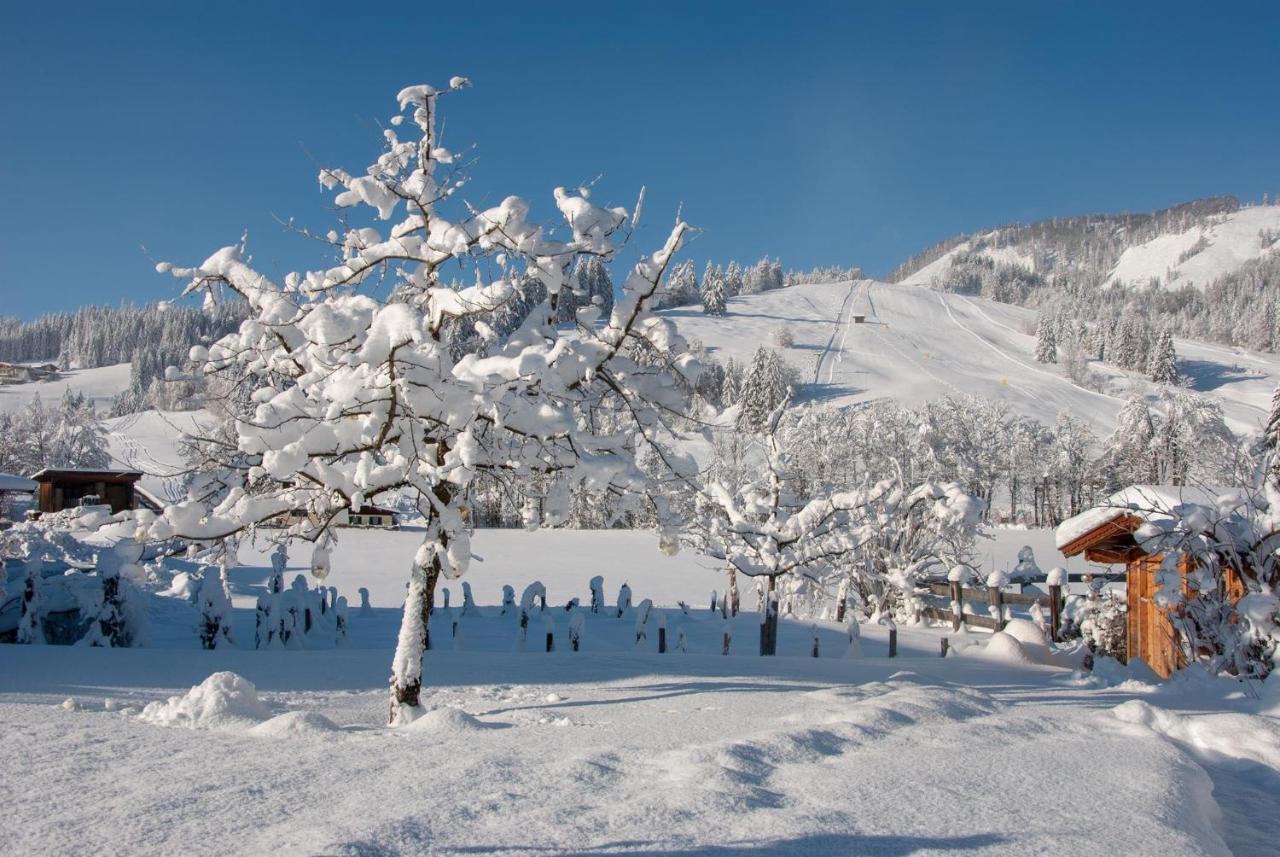 Das Glaagut - Familie Hain Hochfilzen Zewnętrze zdjęcie